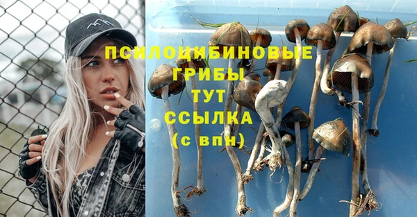 бошки Покачи