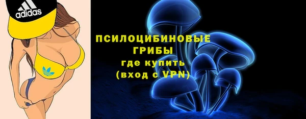 сатива Заволжск