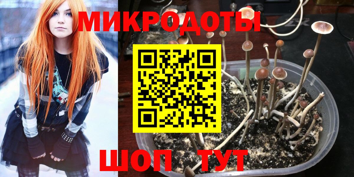 Галлюциногенные грибы Psilocybe  Галлюциногенные грибы MAGIC MUSHROOMS  Саянск  Вход с VPN 