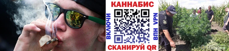 купить наркотик  ссылка на мегу tor  Бошки Шишки сатива  Саянск 